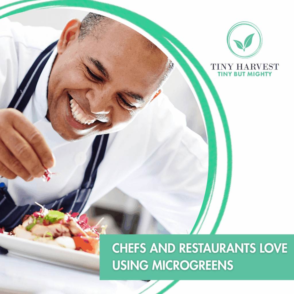 Why Chefs and Restaurants Love Using Microgreens