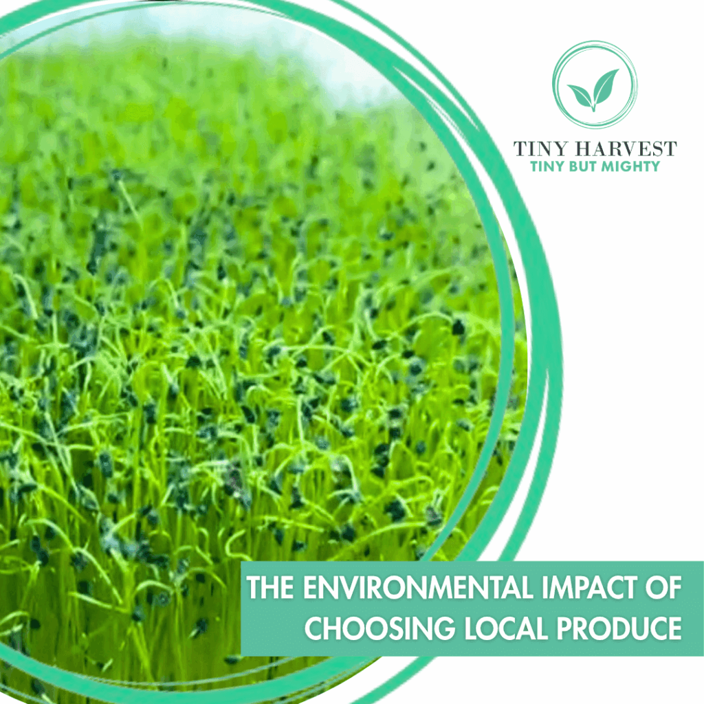 The Environmental Impact of Choosing Local Produce