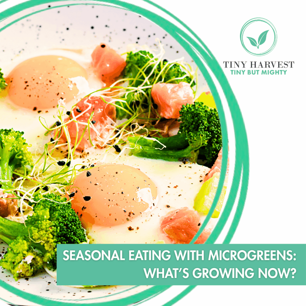 Seasonal Eating with Microgreens - What’s Growing Now