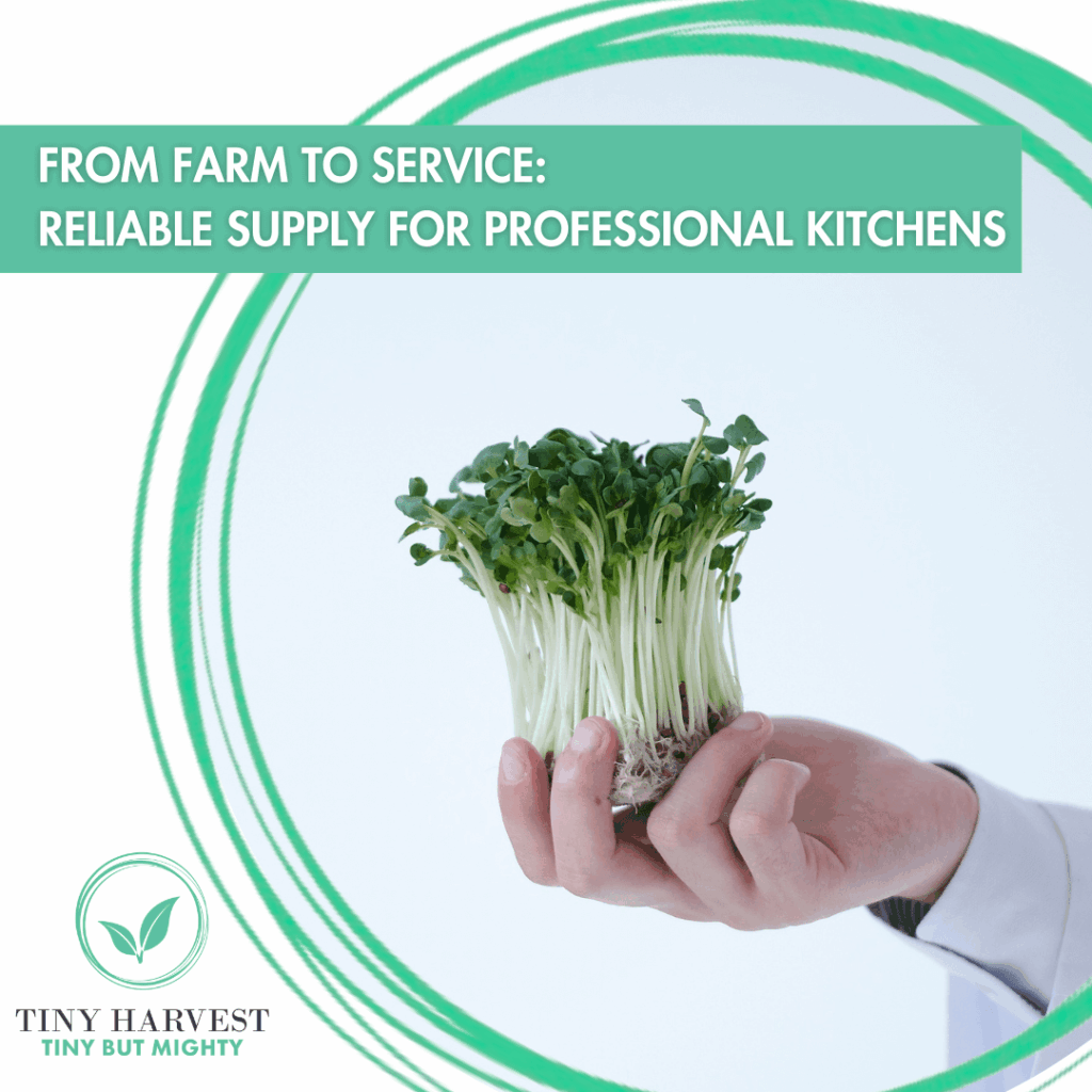 From Farm to Service - How Reliable Supply Supports Professional Kitchens