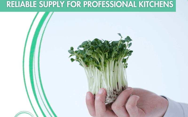 From Farm to Service - How Reliable Supply Supports Professional Kitchens
